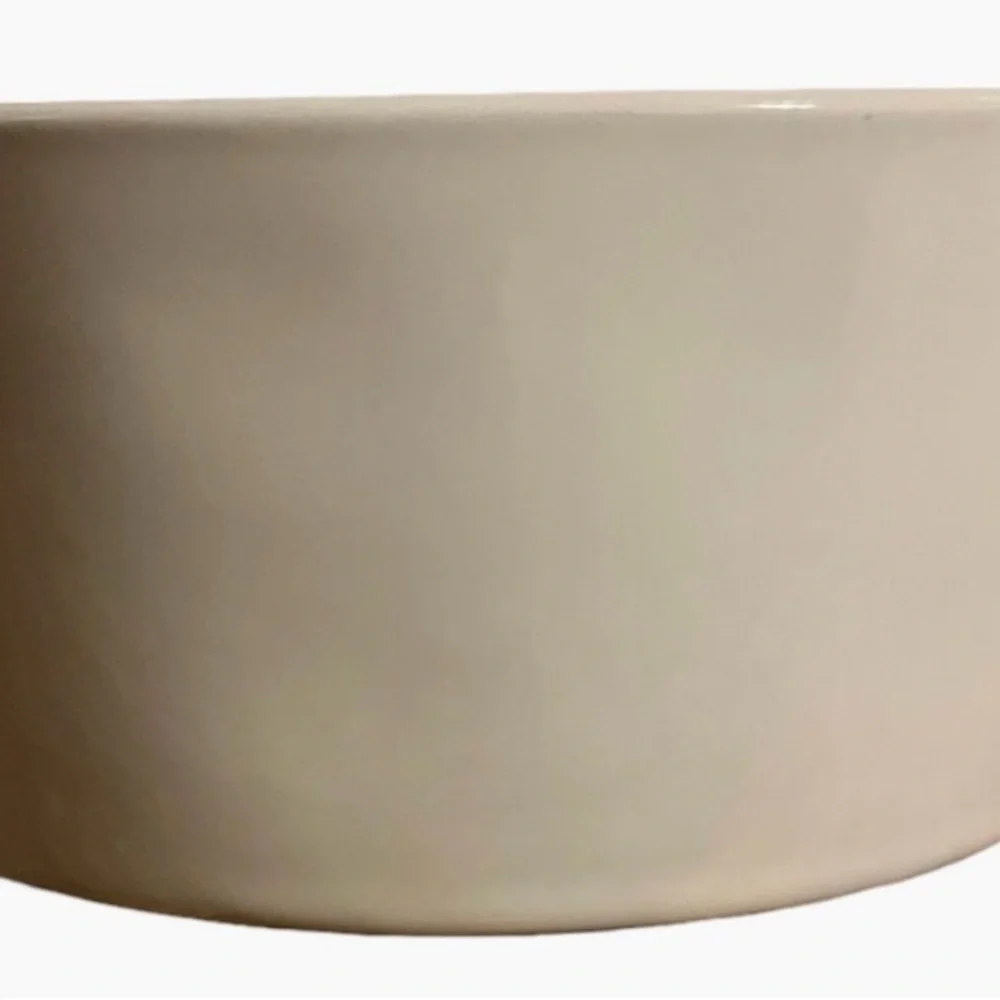 Rae Dunn Cream 'Chow Down' Dog Bowl